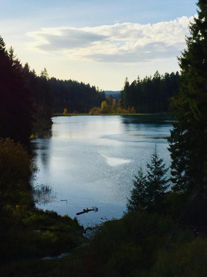 Seeblickapp. „Eure Auszeit“ Гослар Екстер'єр фото